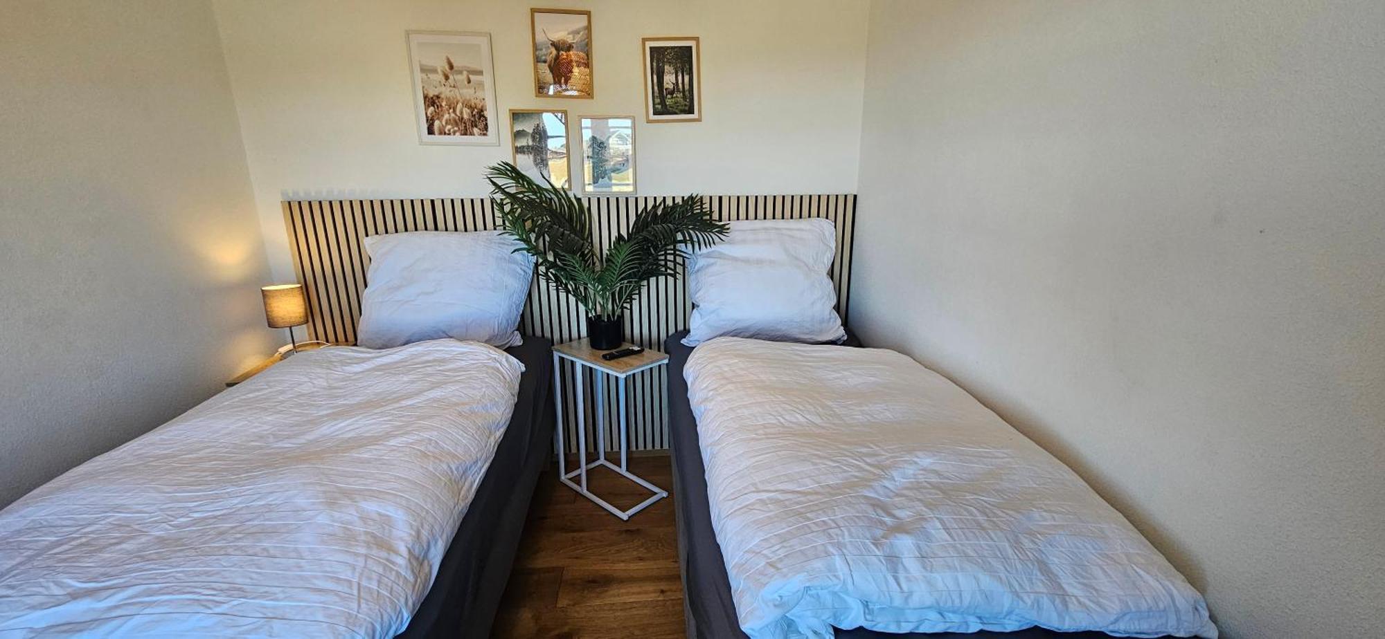 Charmantes Eifel Ferienhaus An Der Schavener Heide ميشرنيش المظهر الخارجي الصورة
